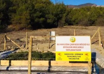Sinop’ta çam kese böceği ile mücadele
