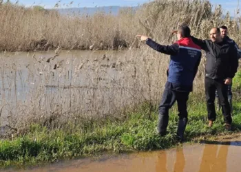 Köşk’te su altında kalan ve zarar gören ekili tarım alanları tespit edildi