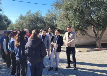 Buharkent’te kursiyerler zeytin ağaçları başında ter döktü