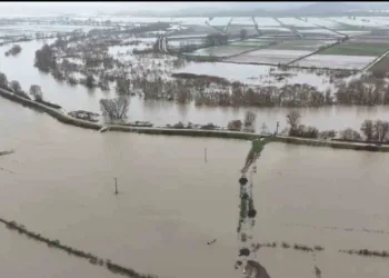 Meriç Nehri taştı, ovalar sular altında kaldı