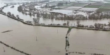 Meriç Nehri taştı, ovalar sular altında kaldı
