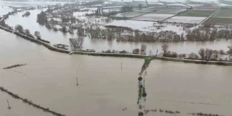Meriç Nehri taştı, ovalar sular altında kaldı