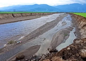 Ödemiş’te baraj tahliye suyu sel oldu, geçtiği tarlaları küçülttü