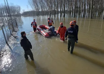 Edirne’de koyunlar botlarla kurtarıldı