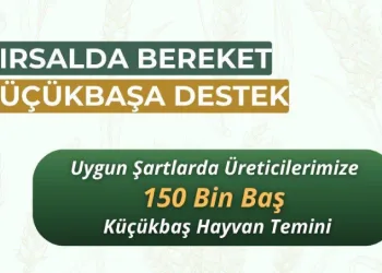 Küçükbaş üreticilerine “Kırsalda Bereket” projesi başlıyor