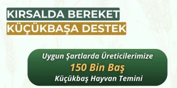 Küçükbaş üreticilerine “Kırsalda Bereket” projesi başlıyor