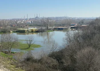 Edirne Yıldırım Mahallesi’nde hayvan çiftlikleri su altında
