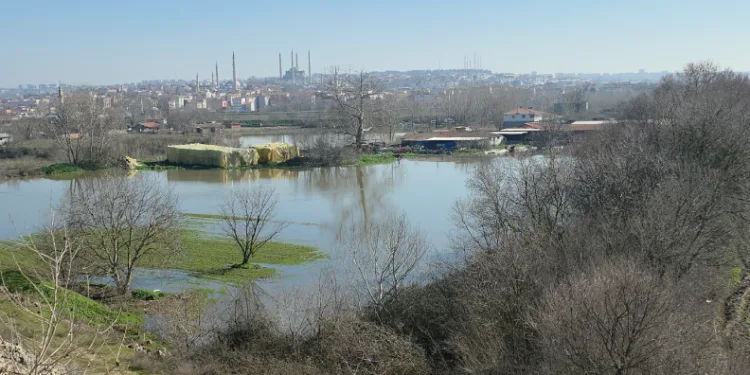 Edirne Yıldırım Mahallesi’nde hayvan çiftlikleri su altında