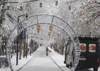 Erzurum’da soğuk havanın etkisiyle ağaçlar kırağı tuttu