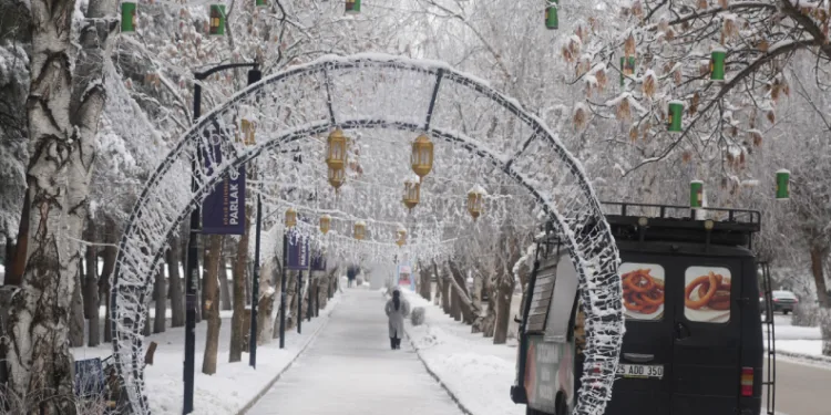 Erzurum’da soğuk havanın etkisiyle ağaçlar kırağı tuttu