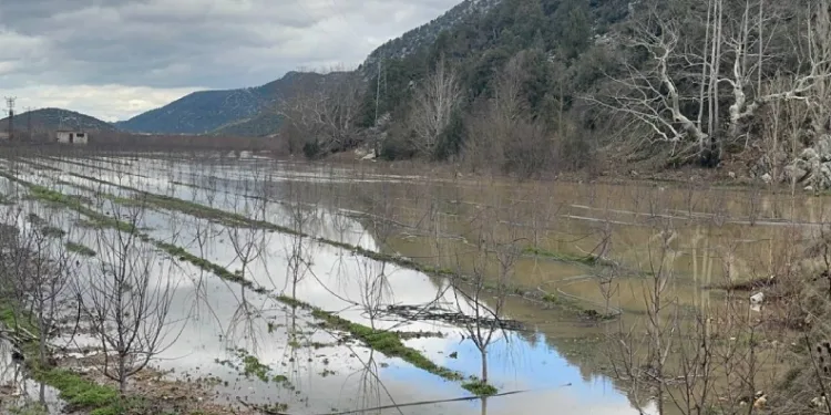 Elmanın başkenti Eğirdir’de yağış bereketi bahçeleri göle çevirdi