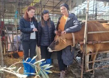 Muğla’daki projeyle üreticiler bilgilendiriliyor