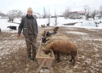 Muş’ta kış ve bahar aynı anda yaşanıyor