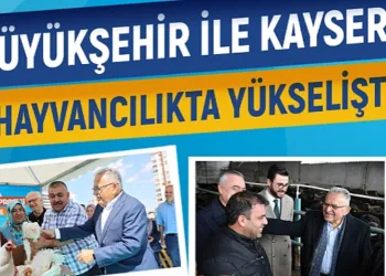 Büyükşehir ile Kayseri, hayvancılıkta yükselişte