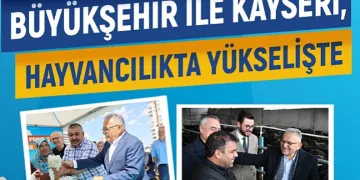 Büyükşehir ile Kayseri, hayvancılıkta yükselişte