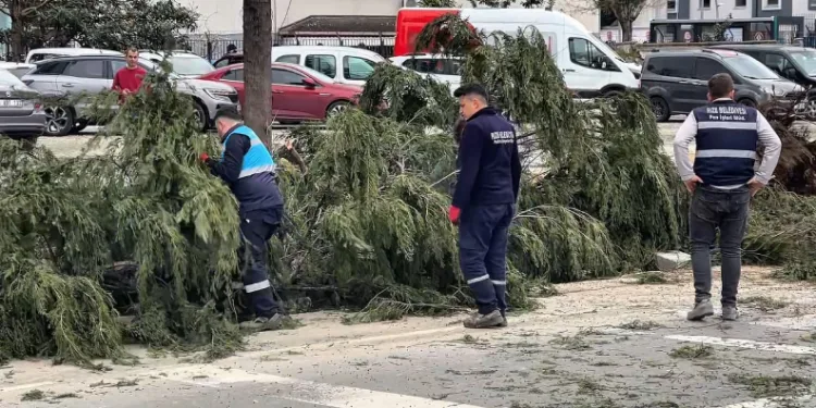 Rize’de fırtına