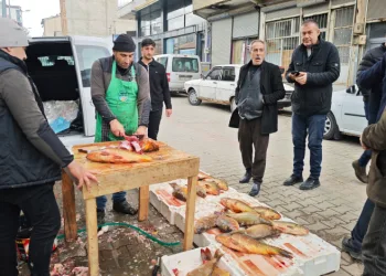 Ramazan ayında sazan balığına ilgi