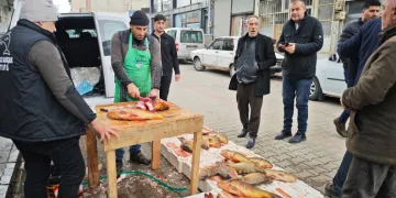 Ramazan ayında sazan balığına ilgi