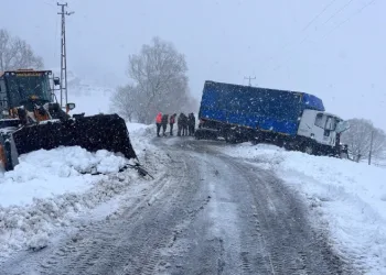 Muş’ta tır iş makinesine çarptı: 1 yaralı