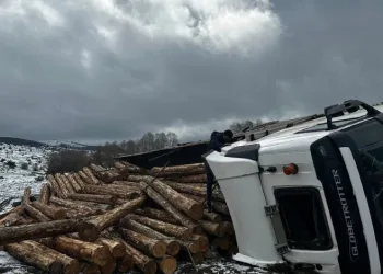 Bolu’da tomruk yüklü tır devrildi: 1 yaralı
