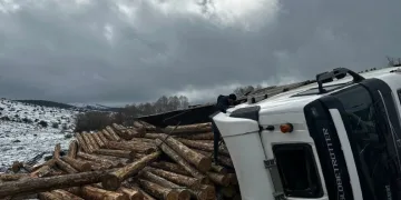 Bolu’da tomruk yüklü tır devrildi: 1 yaralı