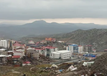 Kulp’ta yağmur ve kar etkili oldu: Heyelan ve çığ uyarısı yapıldı