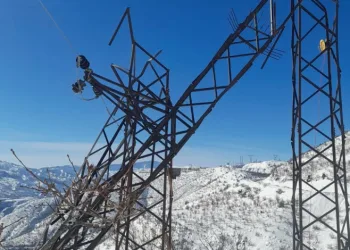 Kar yağışı nedeniyle devrilen 300 elektrik direği yenilendi