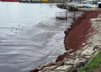 Poyraz sahili kırmızıya boyadı
