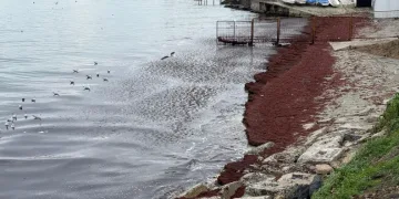 Poyraz sahili kırmızıya boyadı