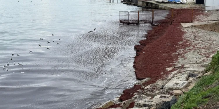 Poyraz sahili kırmızıya boyadı