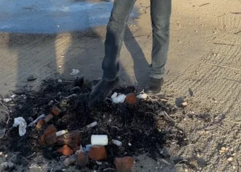 Parklardan sonra mesire alanına da zarar verdiler