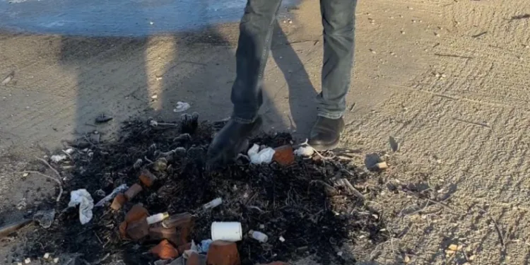 Parklardan sonra mesire alanına da zarar verdiler