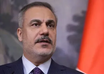Fidan, Sikorski ile görüştü