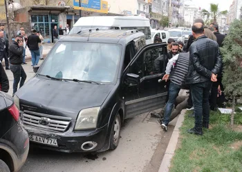Tekirdağ’da yunus ölüsü bulundu