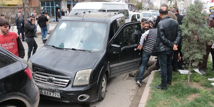 Tekirdağ’da yunus ölüsü bulundu
