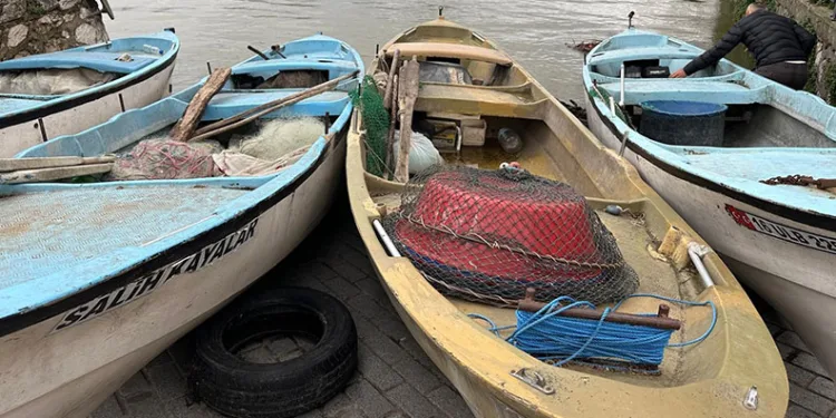 Turna severlere Uluabat Gölü’nden güzel haber