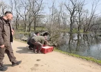 BUÜ sanat ile bilimi buluşturacak
