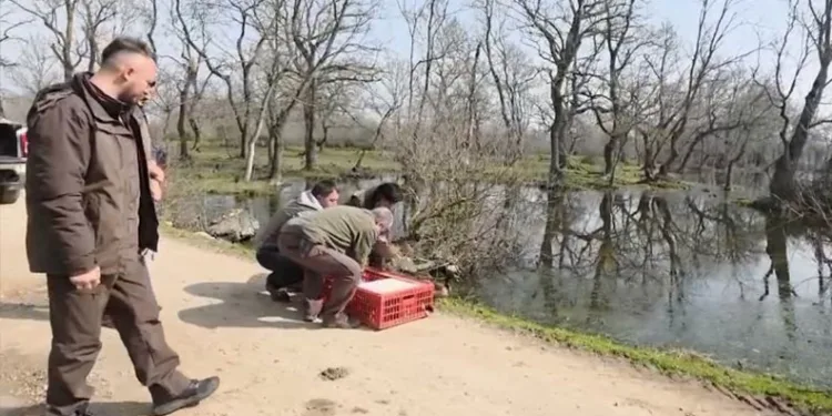 BUÜ sanat ile bilimi buluşturacak