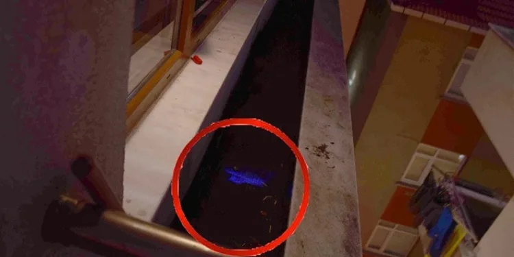 Frenine bakmak için indi, aracı gözlerinin önünde şarampole yuvarlandı