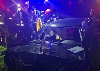 Tekirdağ’da yunus ölüsü bulundu
