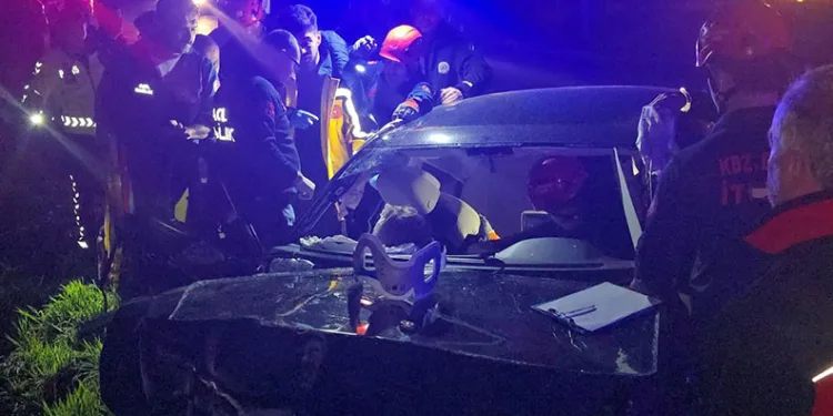 Tekirdağ’da yunus ölüsü bulundu