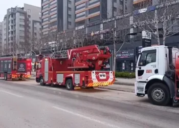 Pazarda 70 lira ama yüzbinlercesi tarlada çürüdü: Üreticiler Tarım Kredi’ye çağrı yaptı