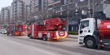 Pazarda 70 lira ama yüzbinlercesi tarlada çürüdü: Üreticiler Tarım Kredi’ye çağrı yaptı
