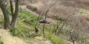 Frenine bakmak için indi, aracı gözlerinin önünde şarampole yuvarlandı