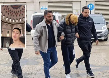 Bursa’nın 700 yıllık mirası 700 çınarla kök salıyor