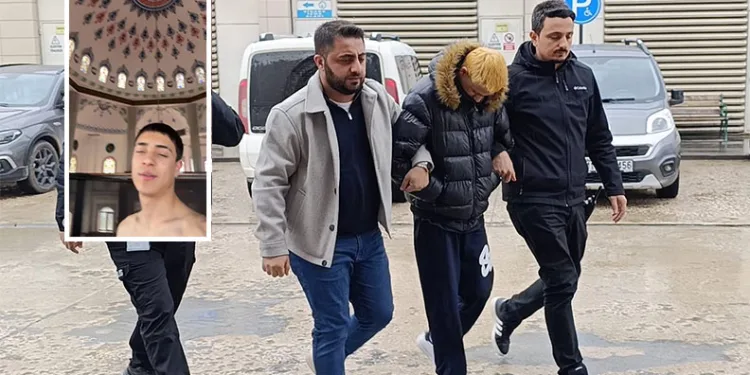 Bursa’nın 700 yıllık mirası 700 çınarla kök salıyor