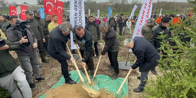 Yıldırım’da geri dönüşümle her ay 5 bin ağaç kurtarılıyor