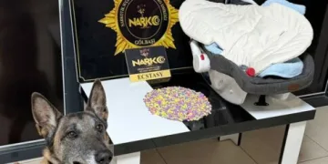 Torbacı operasyonunda 2 kişi tutuklandı
