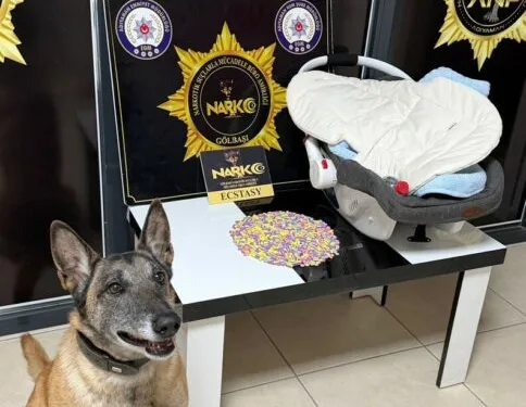 Torbacı operasyonunda 2 kişi tutuklandı