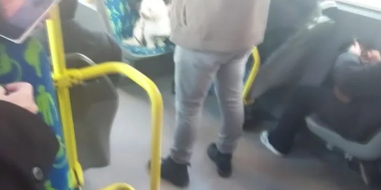 Drift, kavga ve kural ihlallerinin önüne geçecek kanun
